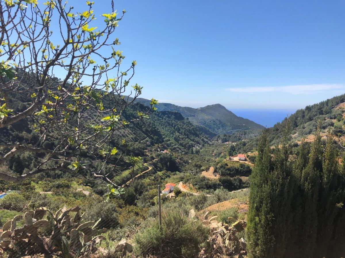 Cortijo Luque Semesterbostad